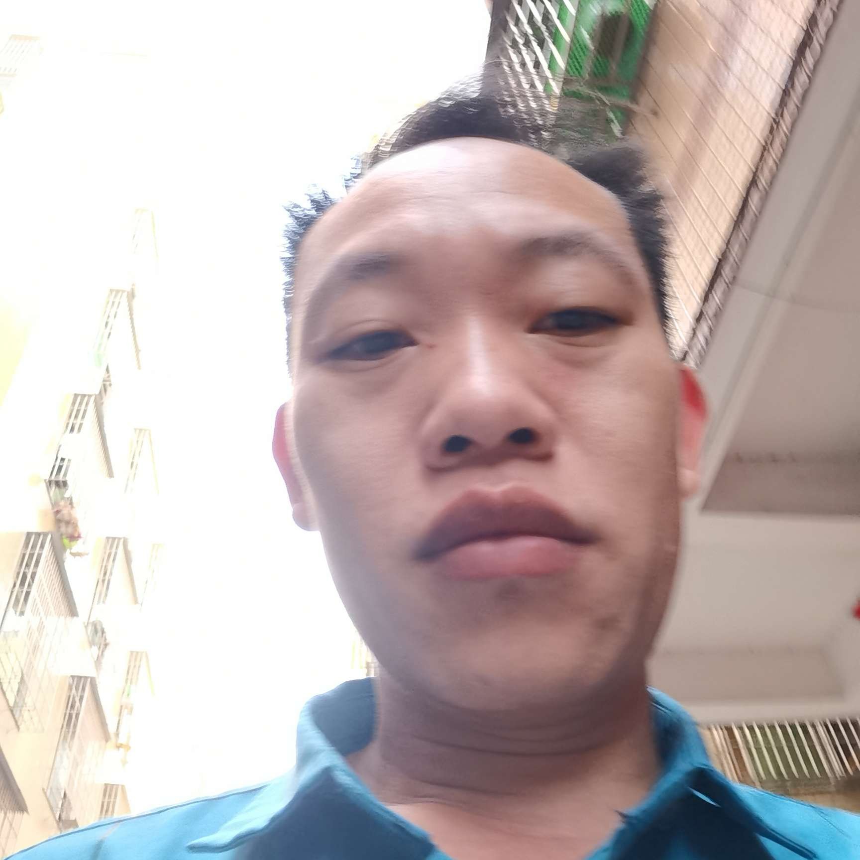 狼王群的照片