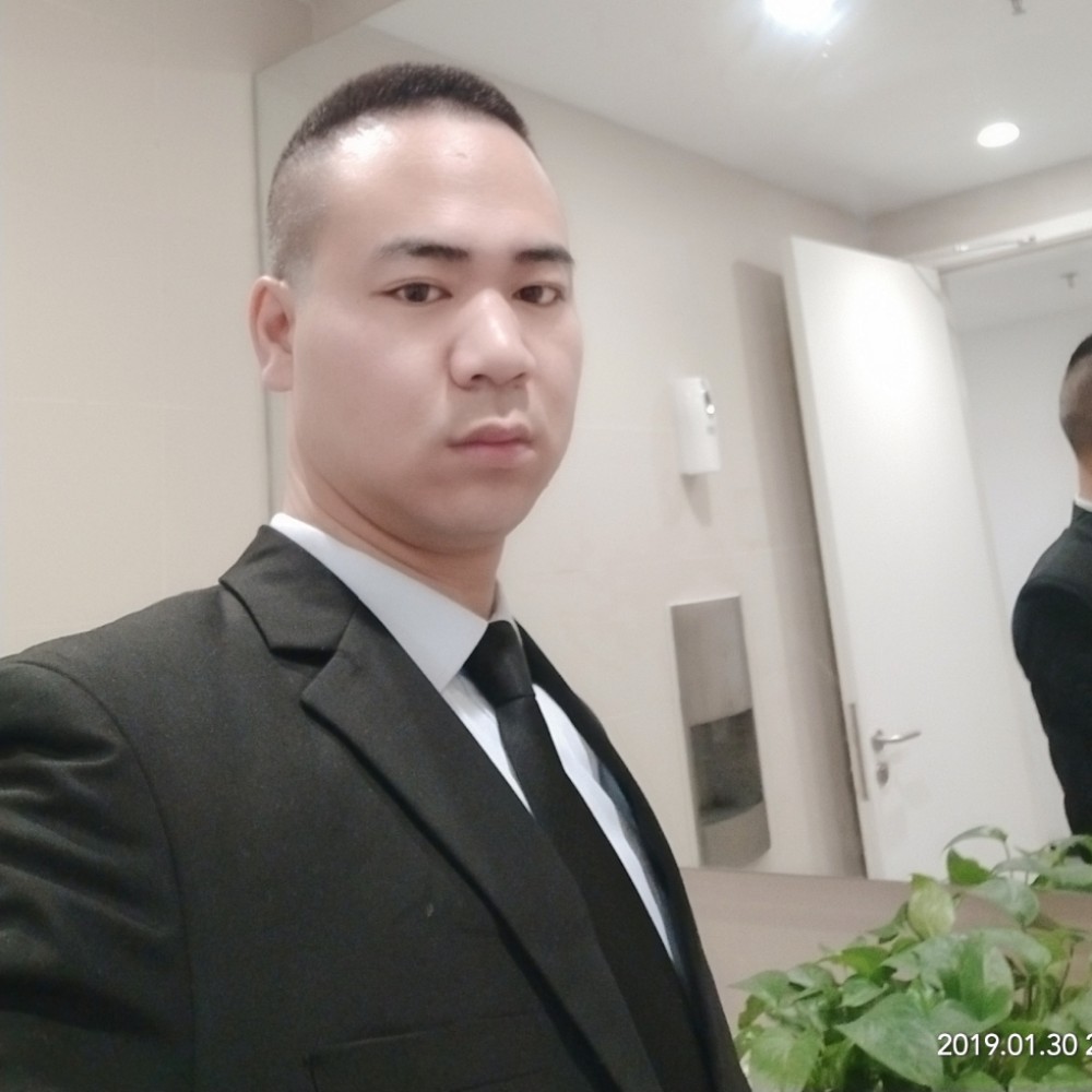 明亮小蜜蜂的照片