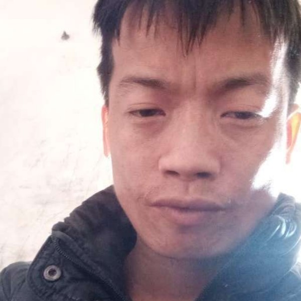 儒雅爱恋大米的照片