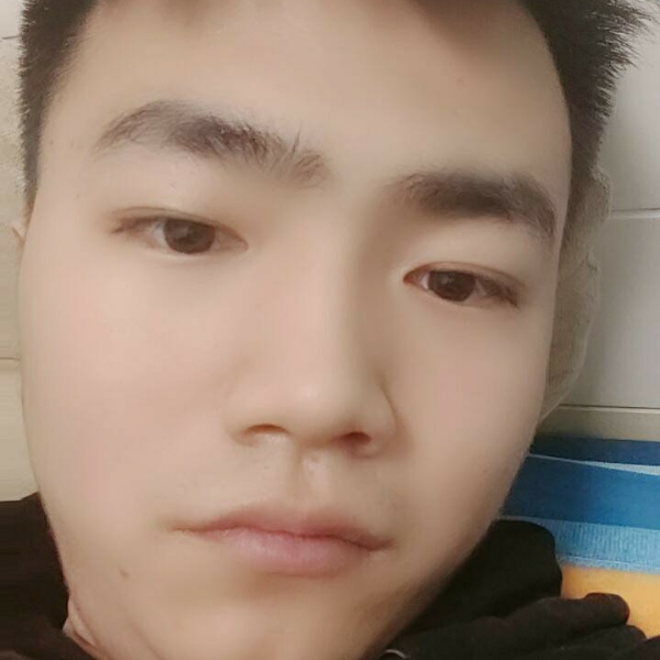 红牛停止玩命的照片
