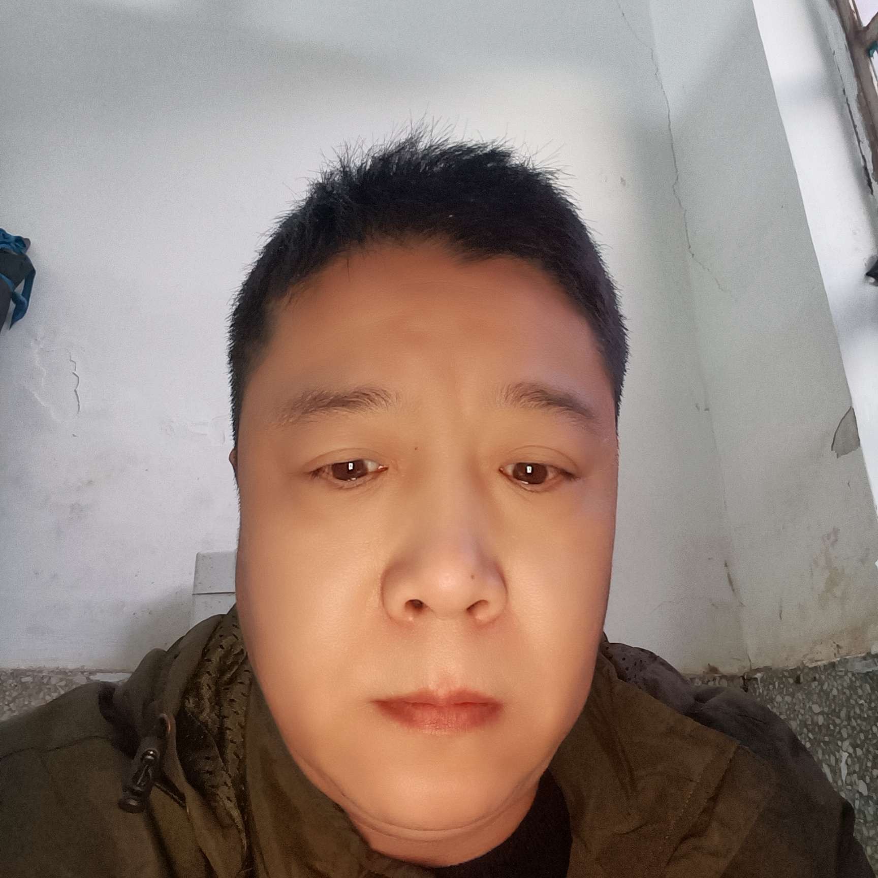 大鹏发了的照片