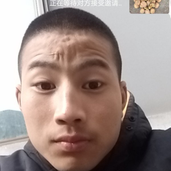 吉秦毅的照片