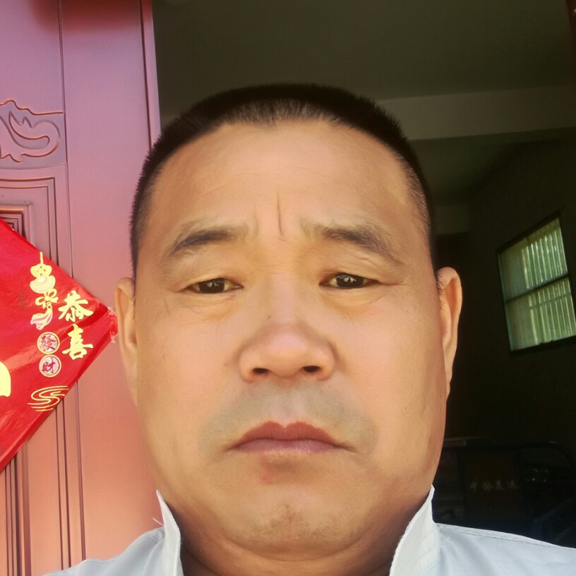 鱼还单身的照片
