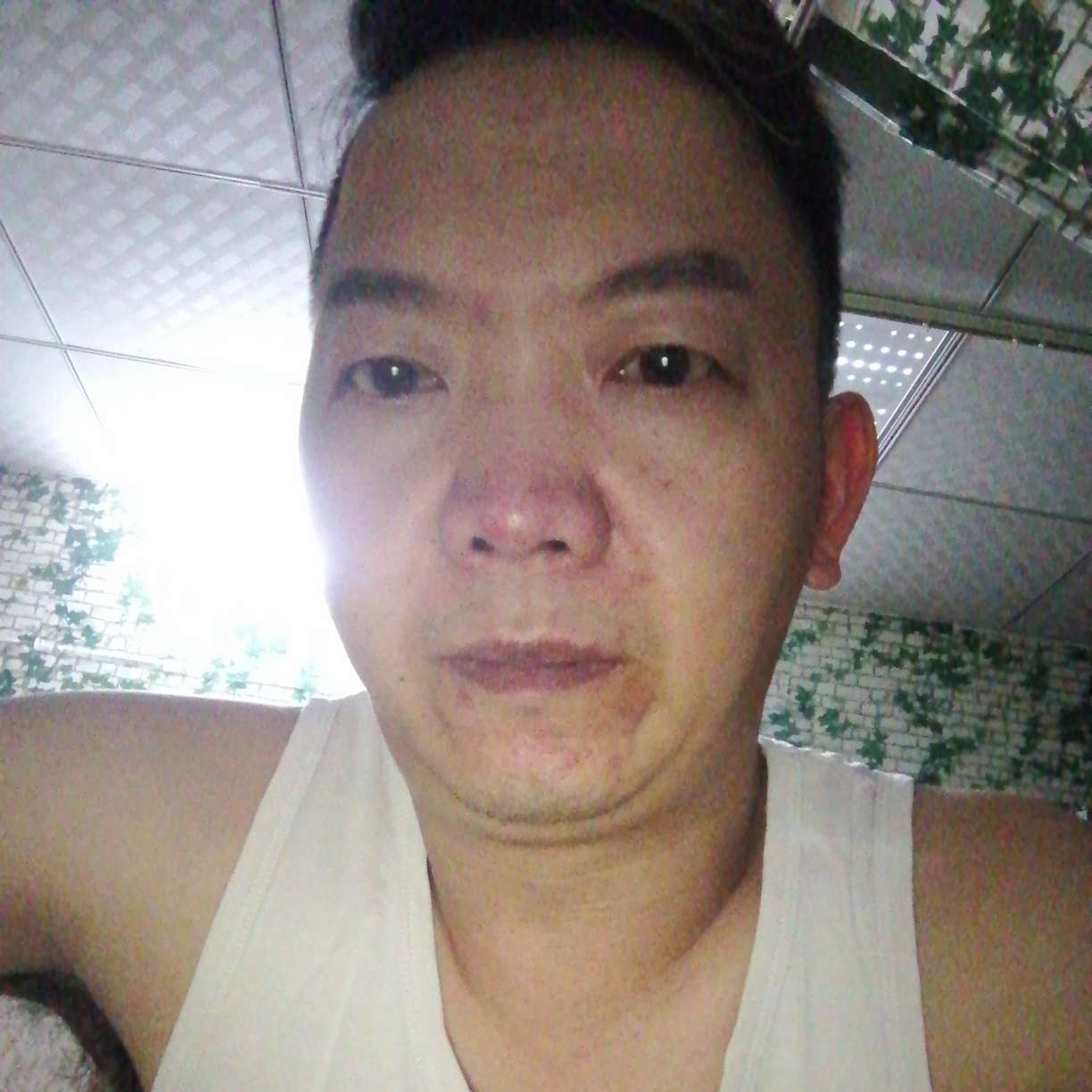 迷茫邂逅飞鸟的照片