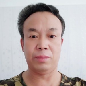 小海豚放弃落寂的照片