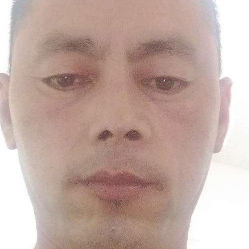 漂留在上海的照片