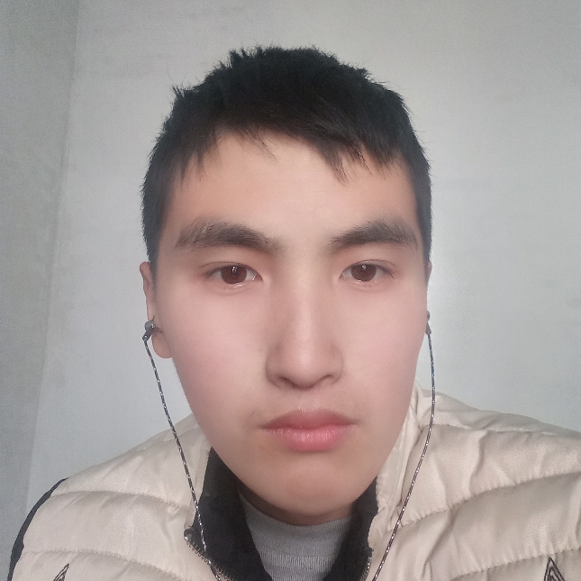 玫瑰复杂的照片