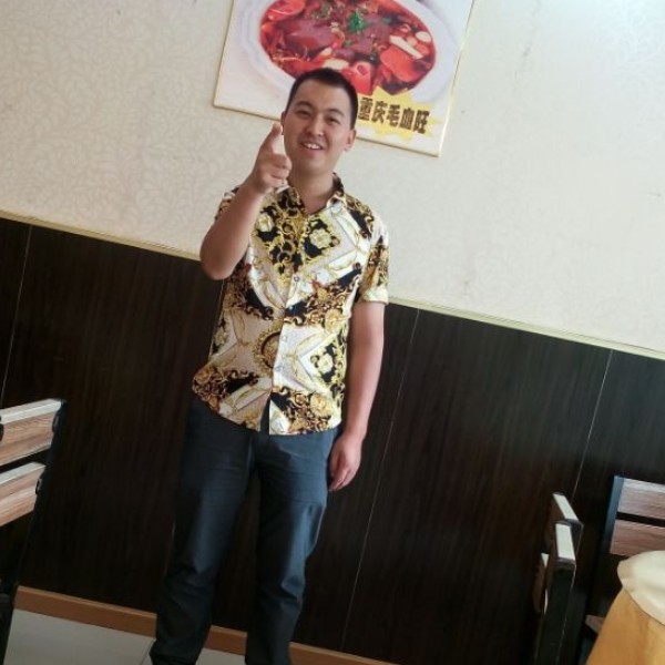 思念的猫的照片