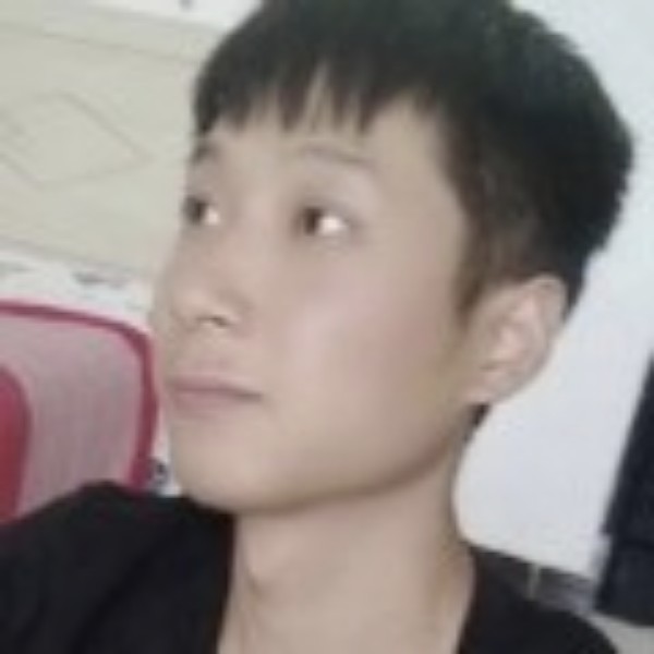 小猫咪漫步沉静的照片