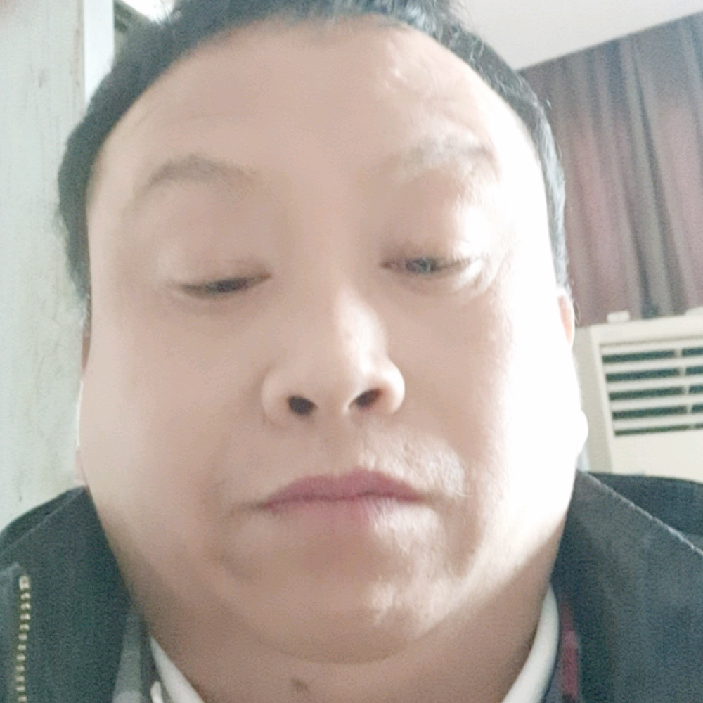 鸡倾心阳光的照片