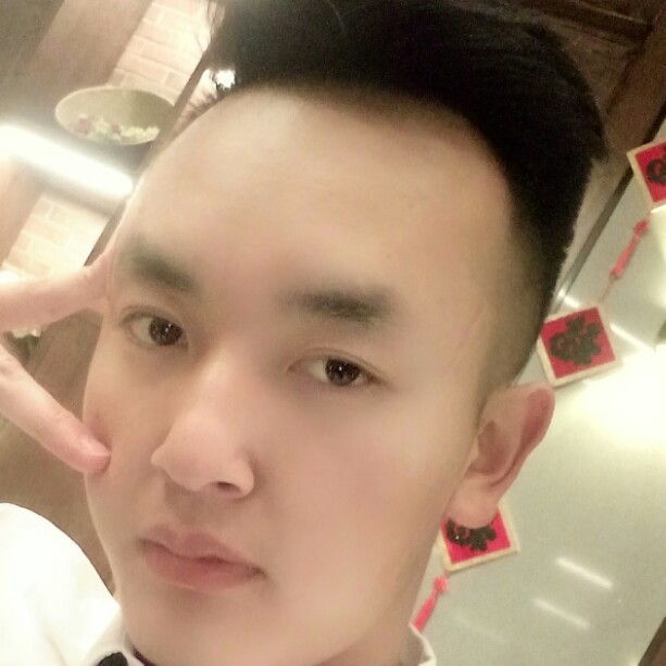 朴素金毛的照片