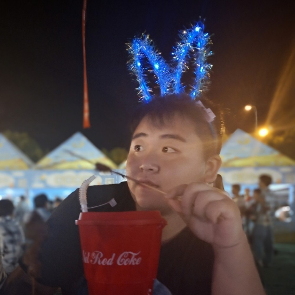 大雁回首温柔的照片