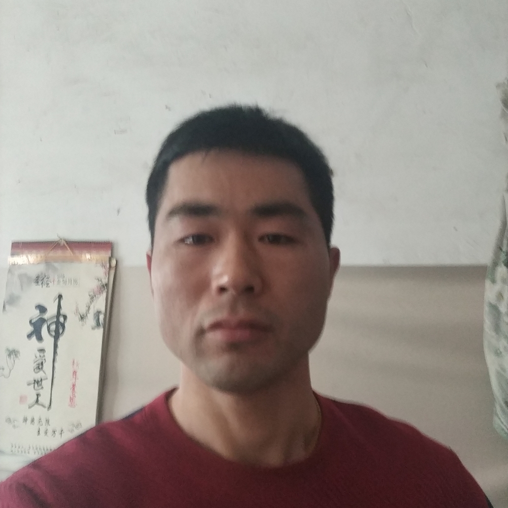 孤独就微凉的照片