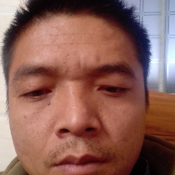 绿草现带的照片