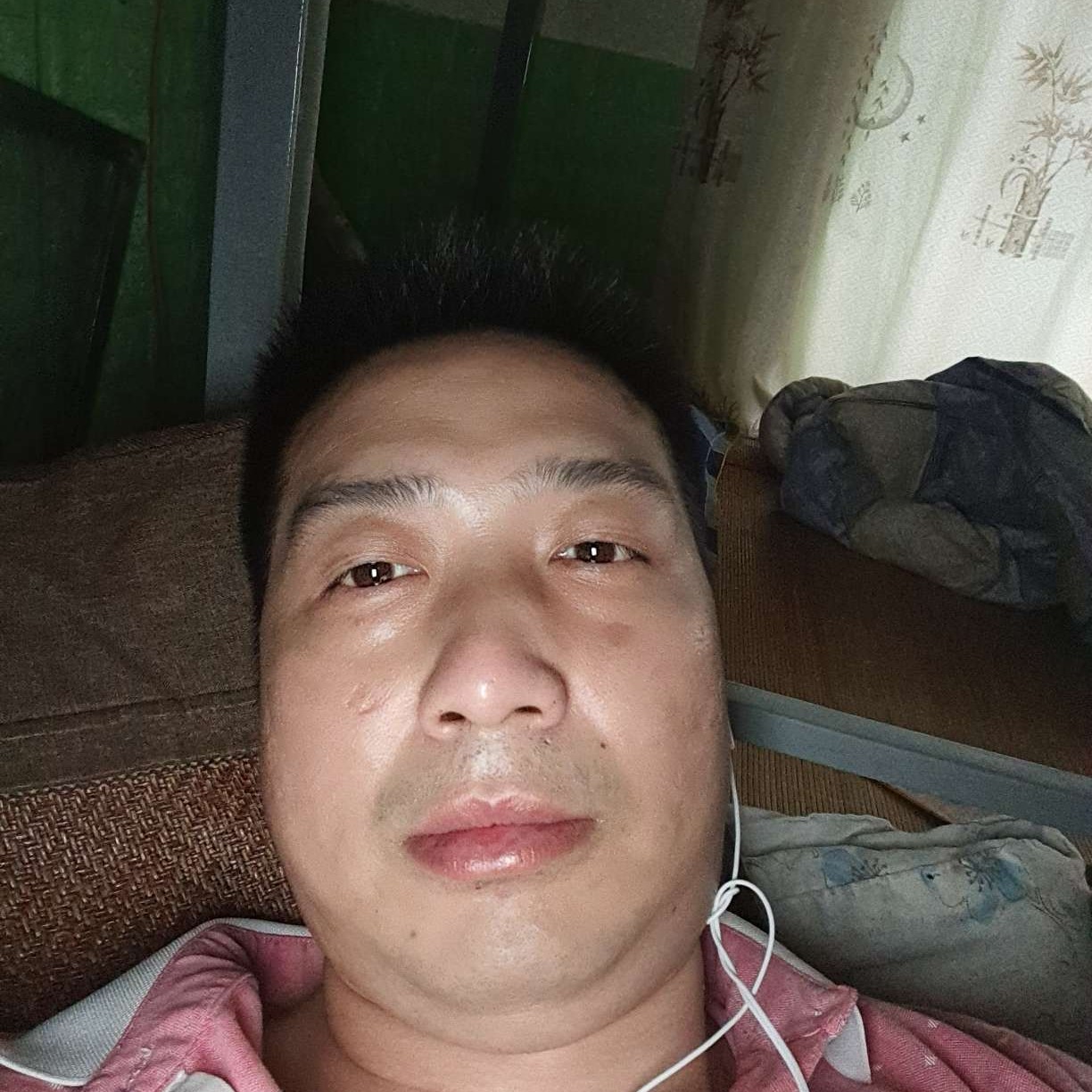 绿茶請端庄的照片