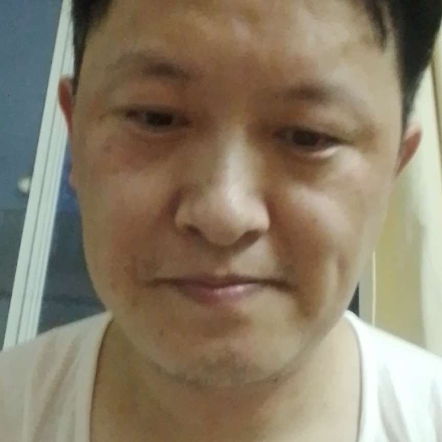 小白尨的照片