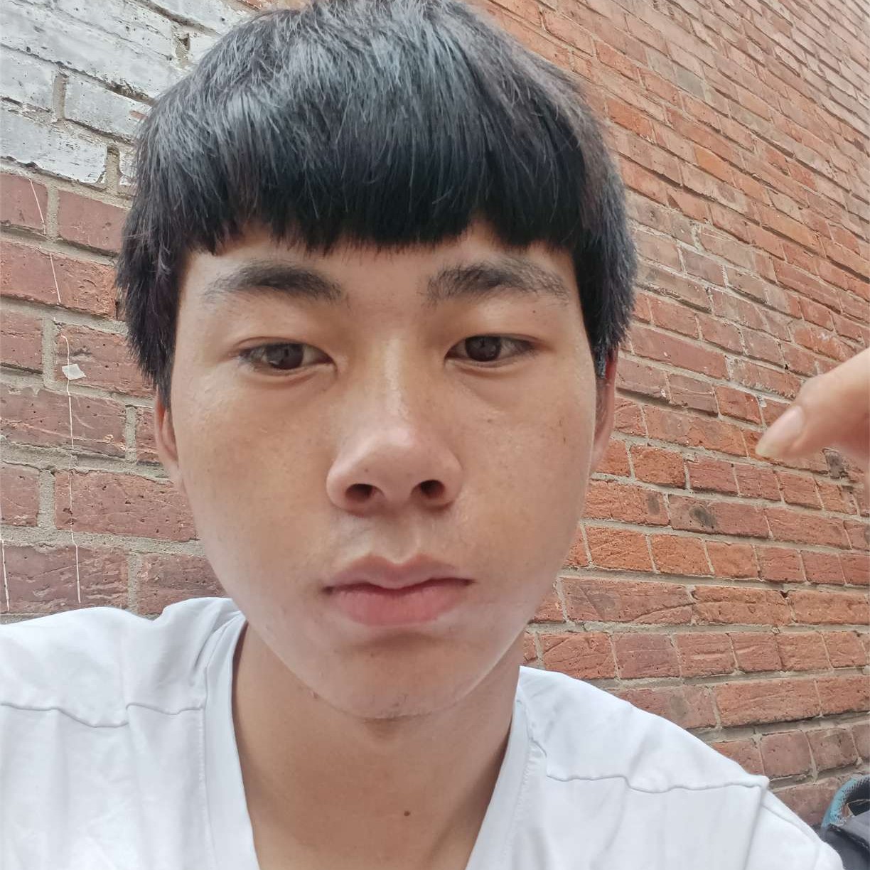 小北下面很大的照片