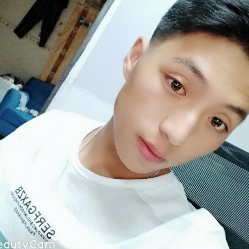 宗介于你的照片