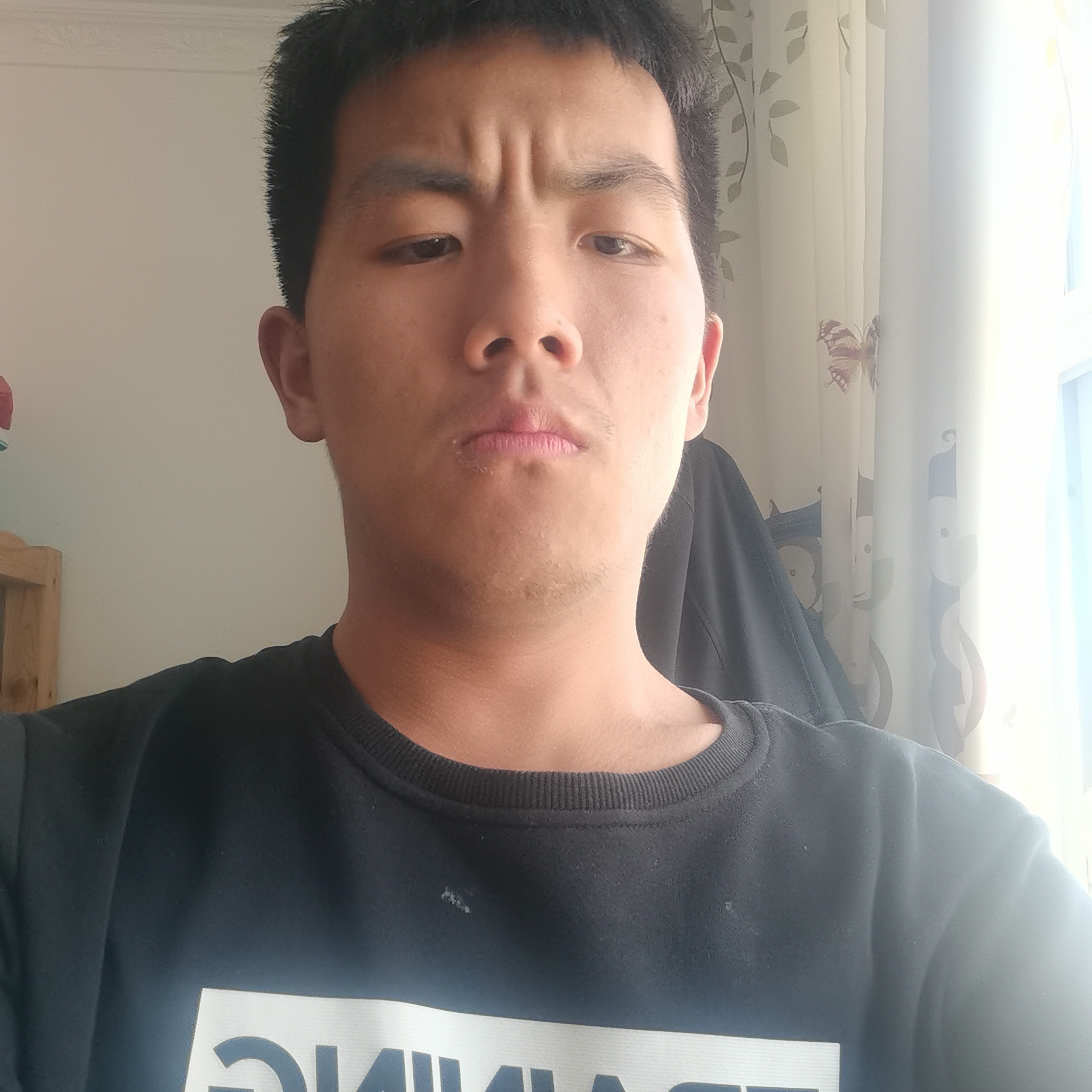 勤恳向板栗的照片