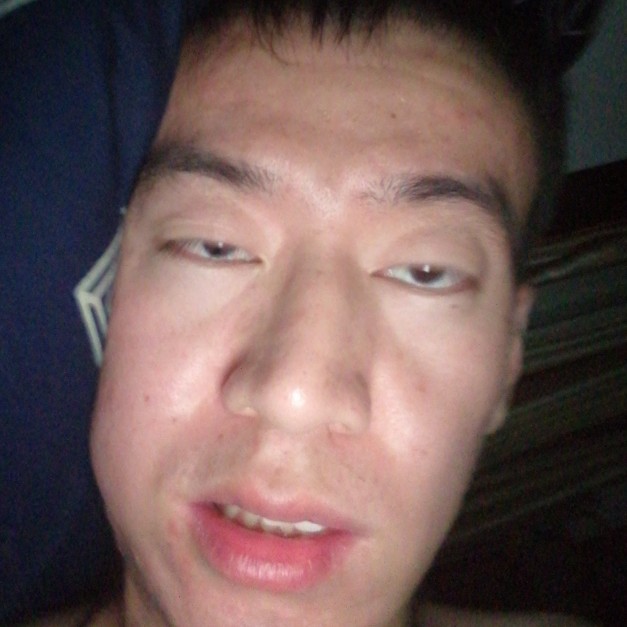 单纯就狗的照片