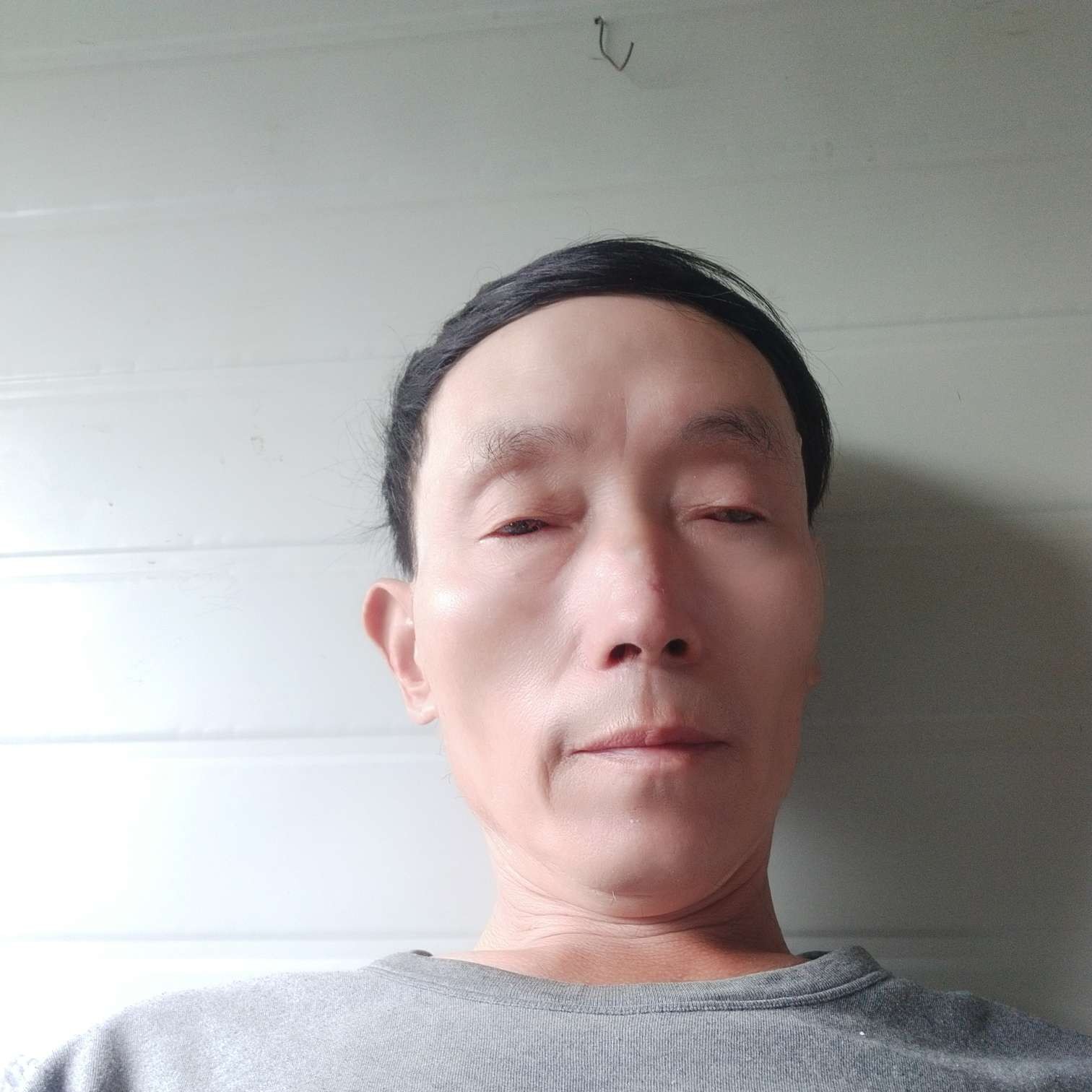 小猫咪爱靓丽的照片