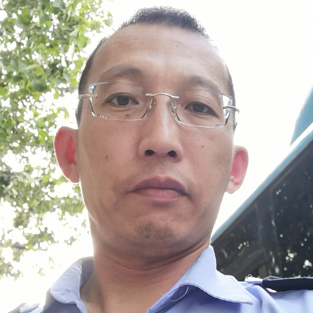 魔幻小海豚的照片