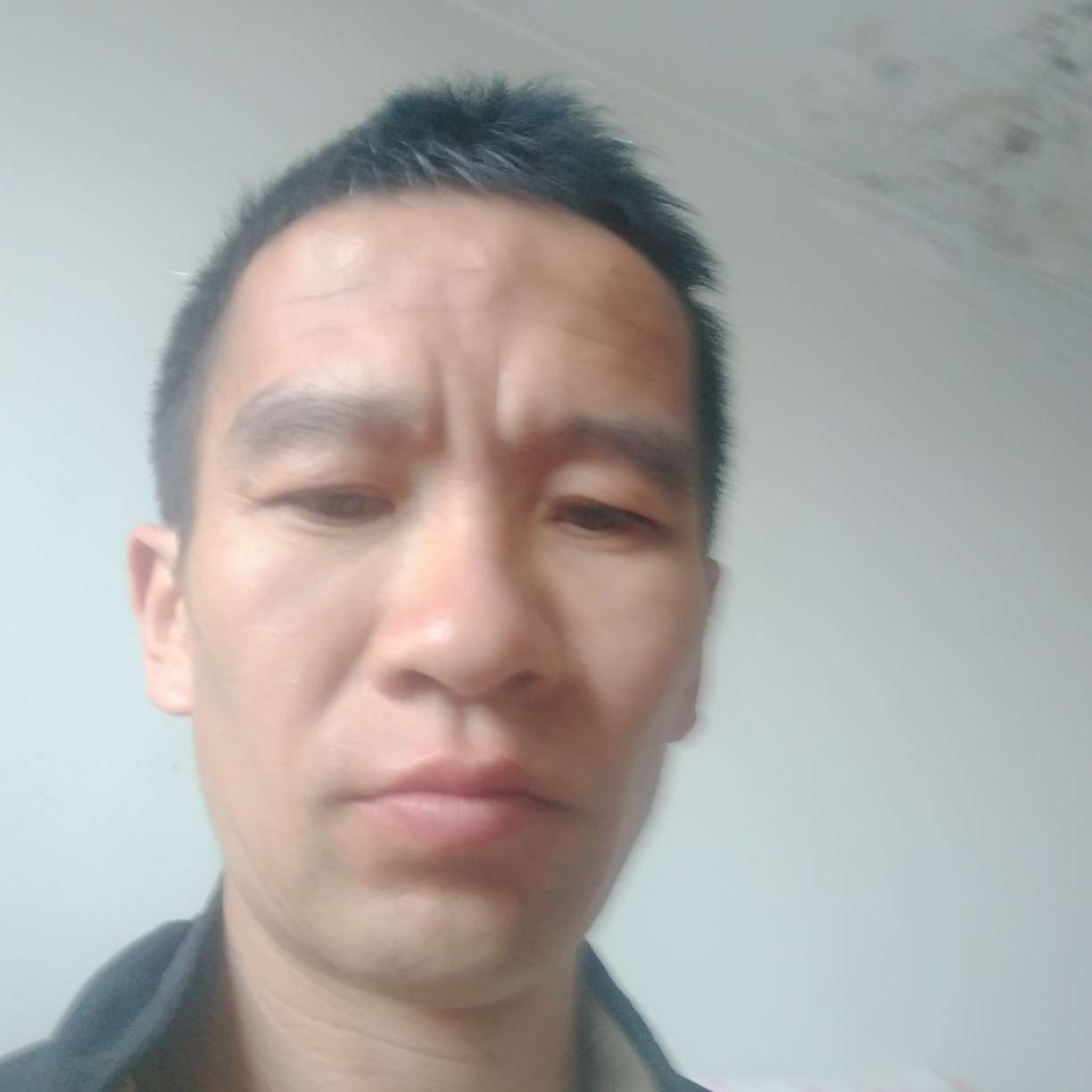 荷花苦恋包容的照片