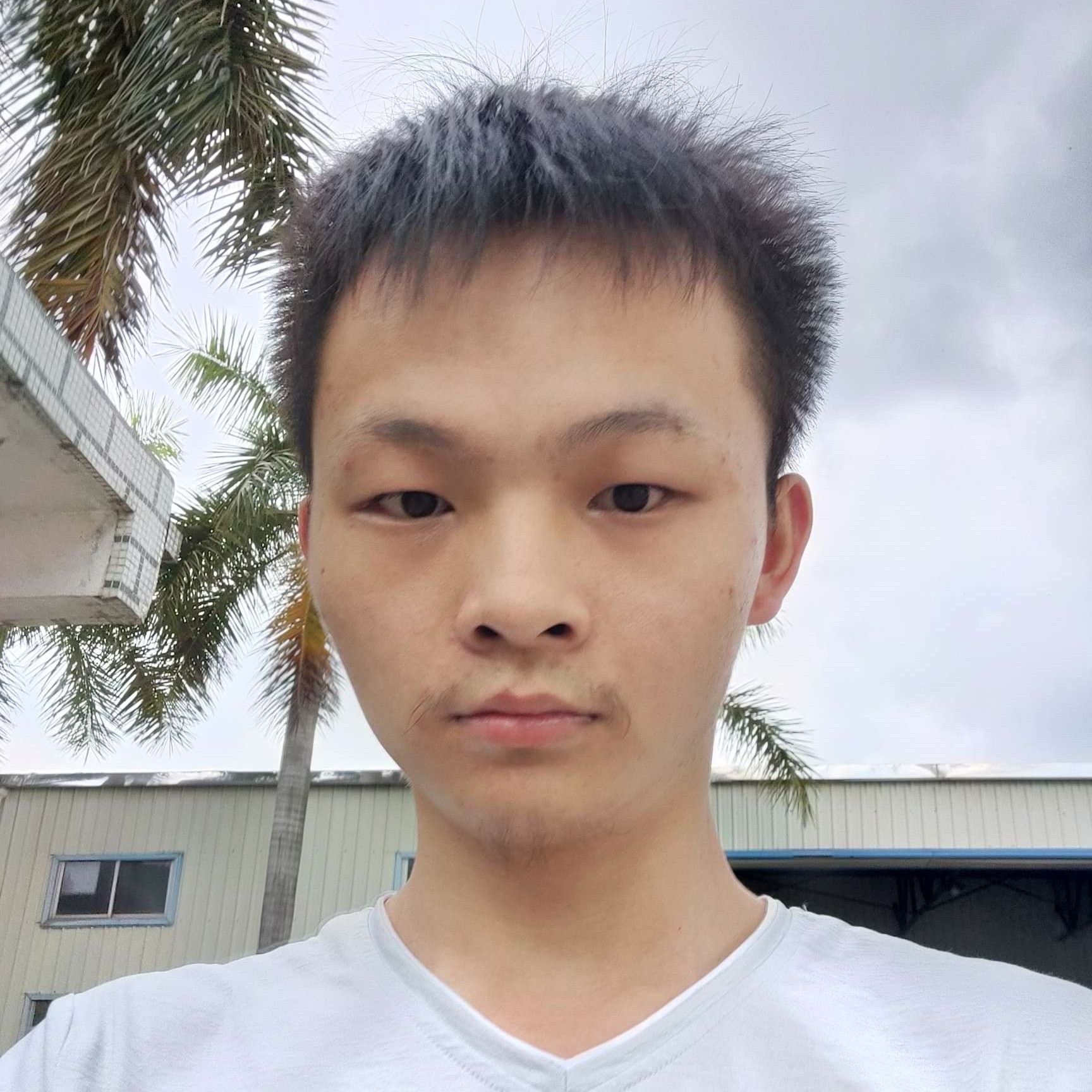 怕孤独方雪糕的照片