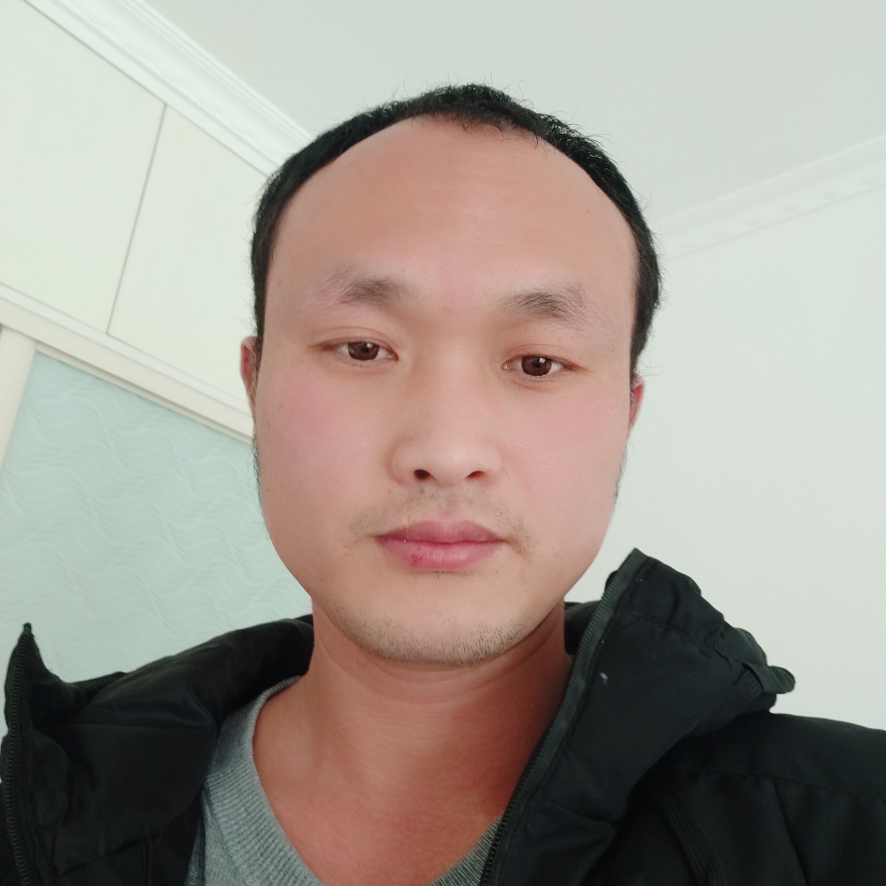 彩 色 向日葵的照片