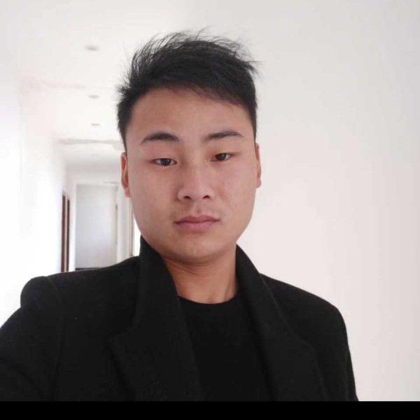 自觉保卫大雁的照片