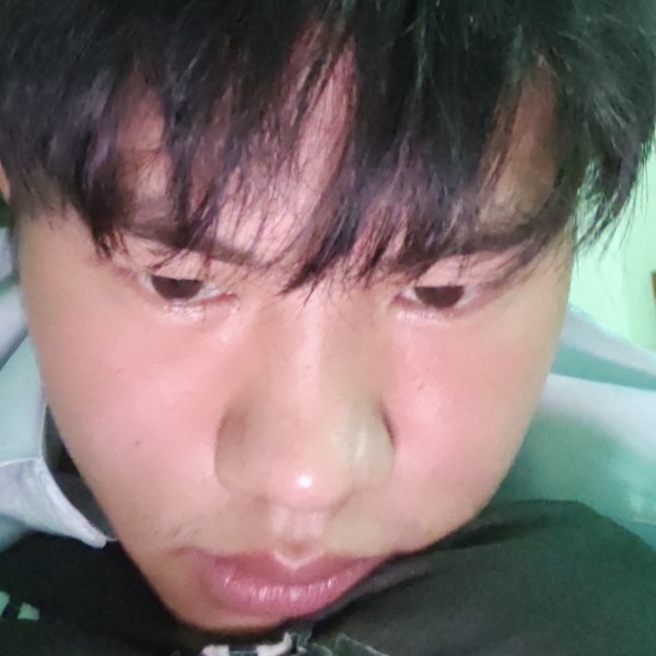 蜜粉的落寞的照片