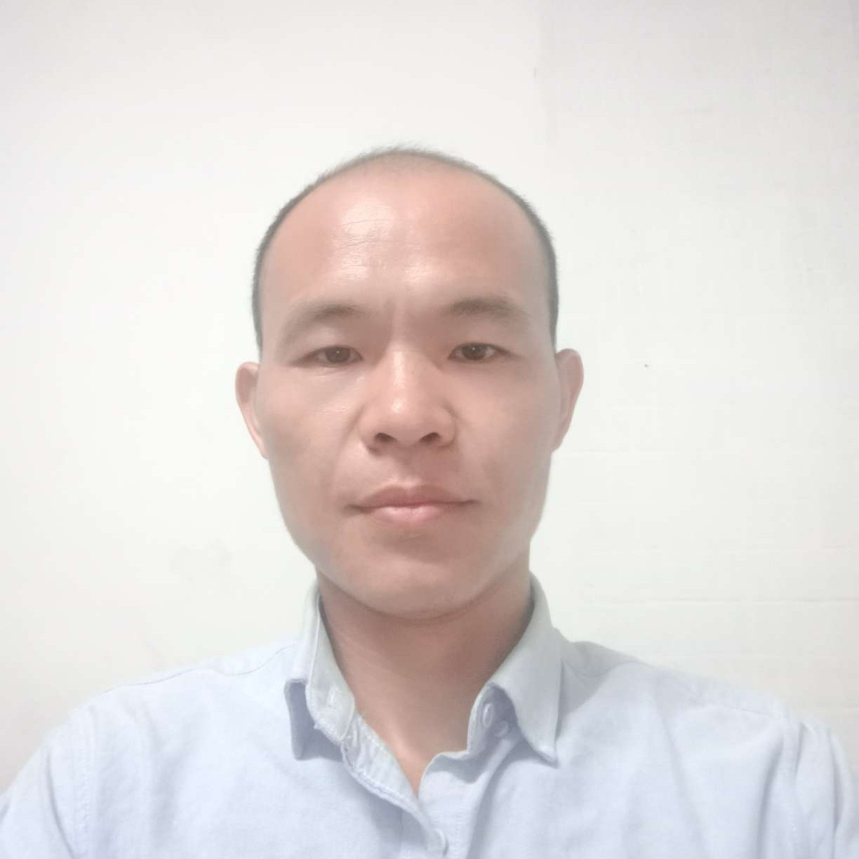 树屿牧歌66的照片