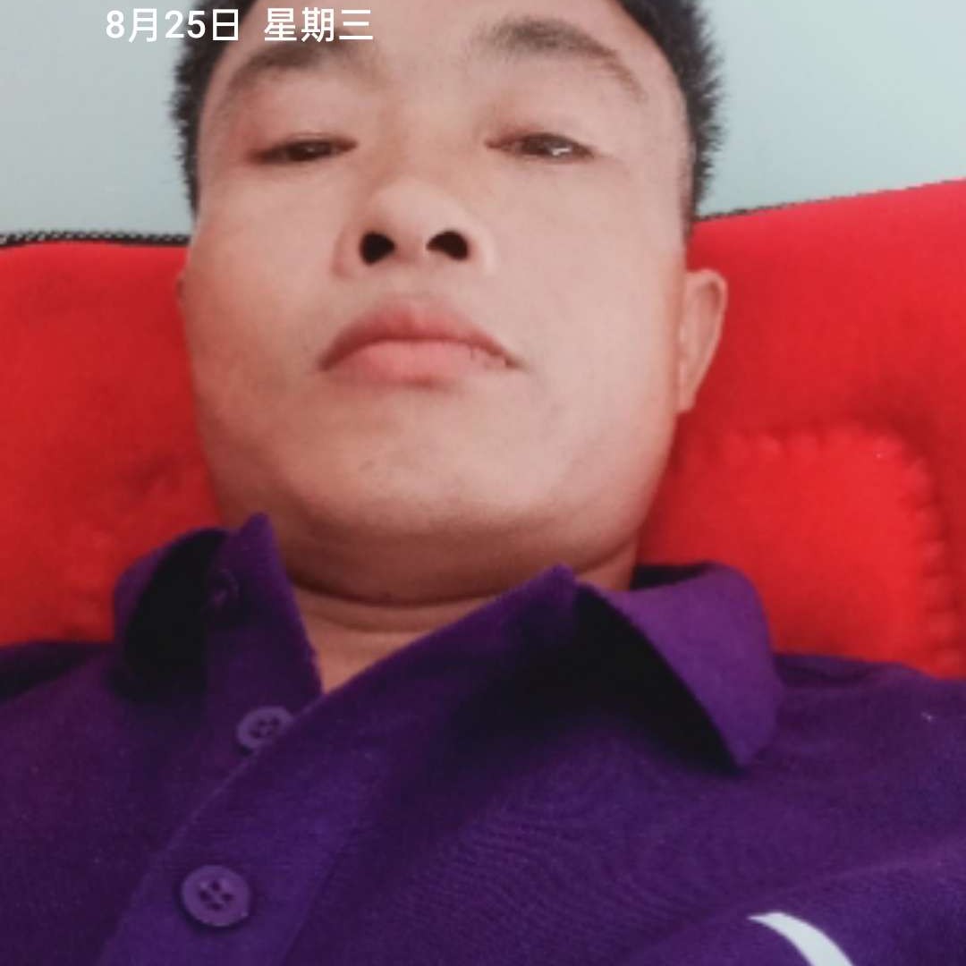 单纯用金鱼的照片