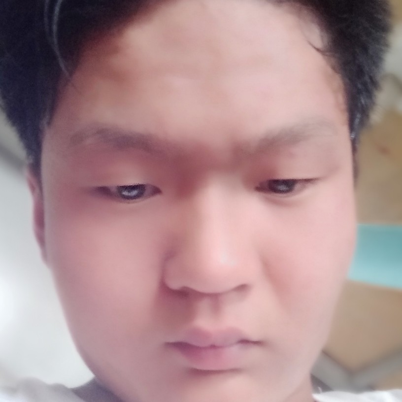 聪明和冷月的照片