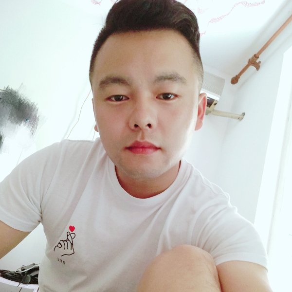 恐高的鸟的照片