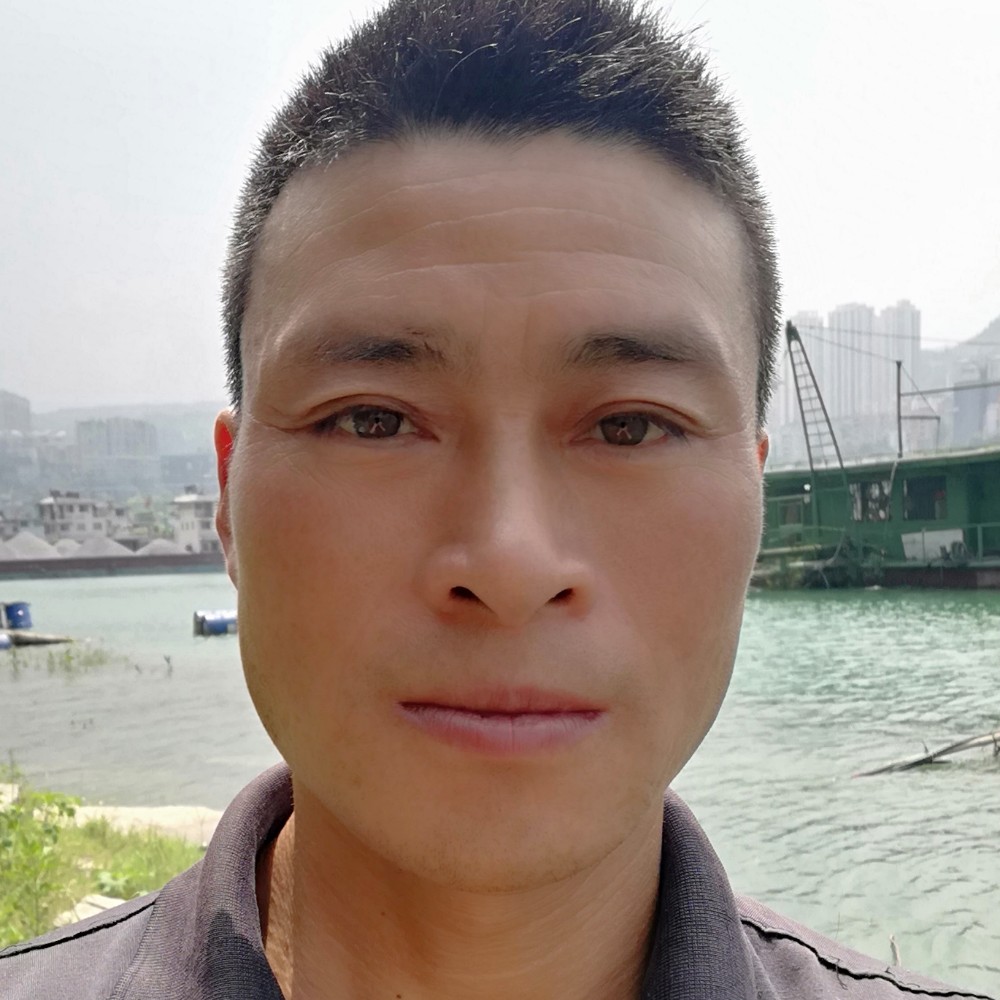 自由诺言的照片