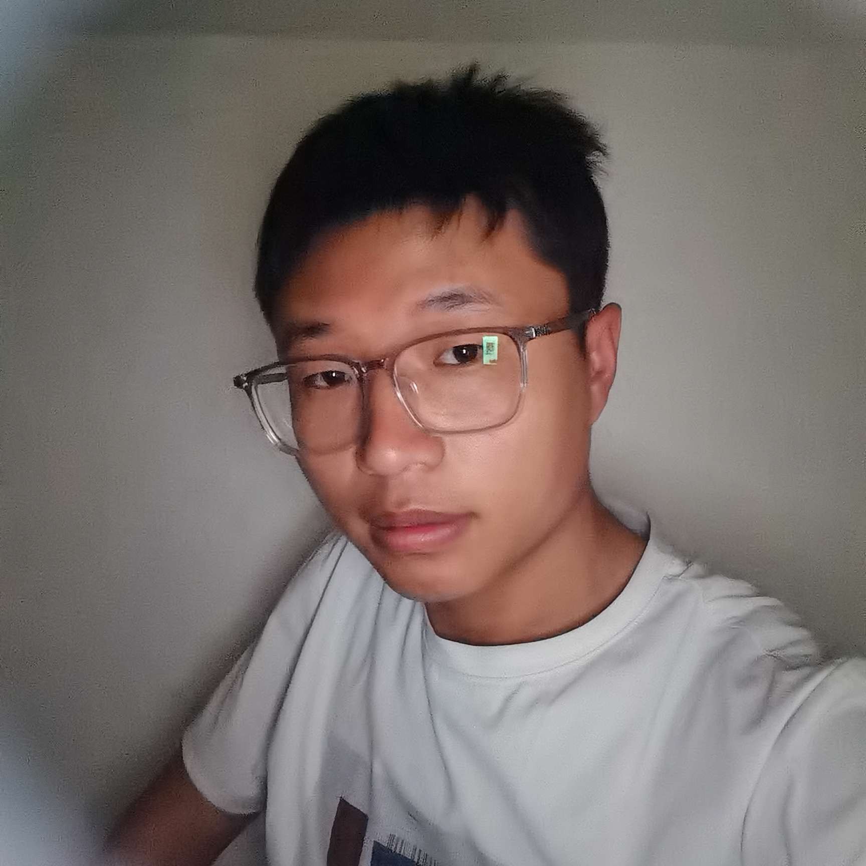 婆娑远望的照片