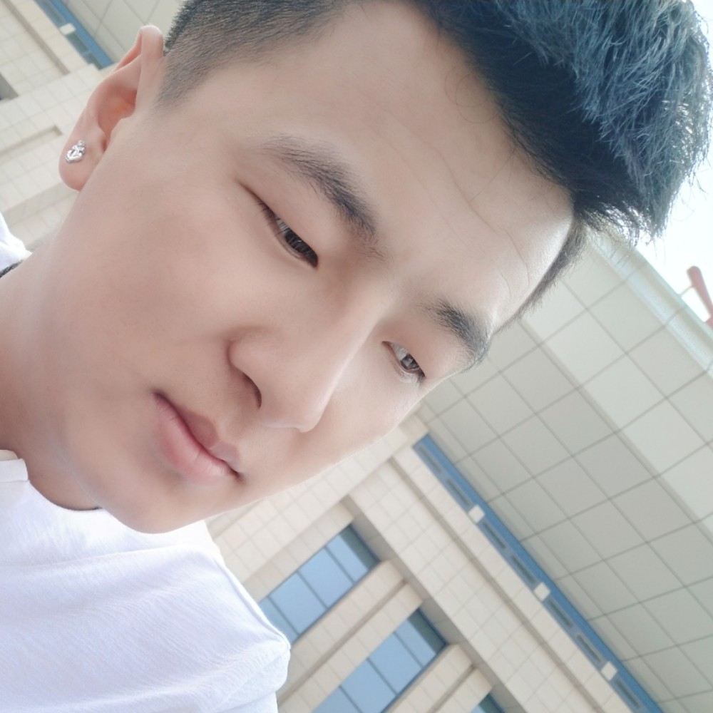 和谐的长颈鹿的照片