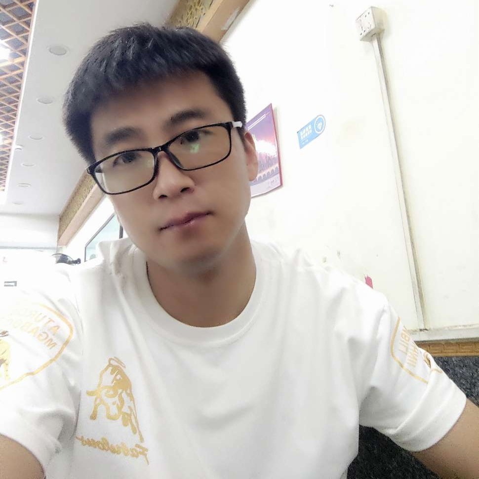 砖头演变健壮的照片