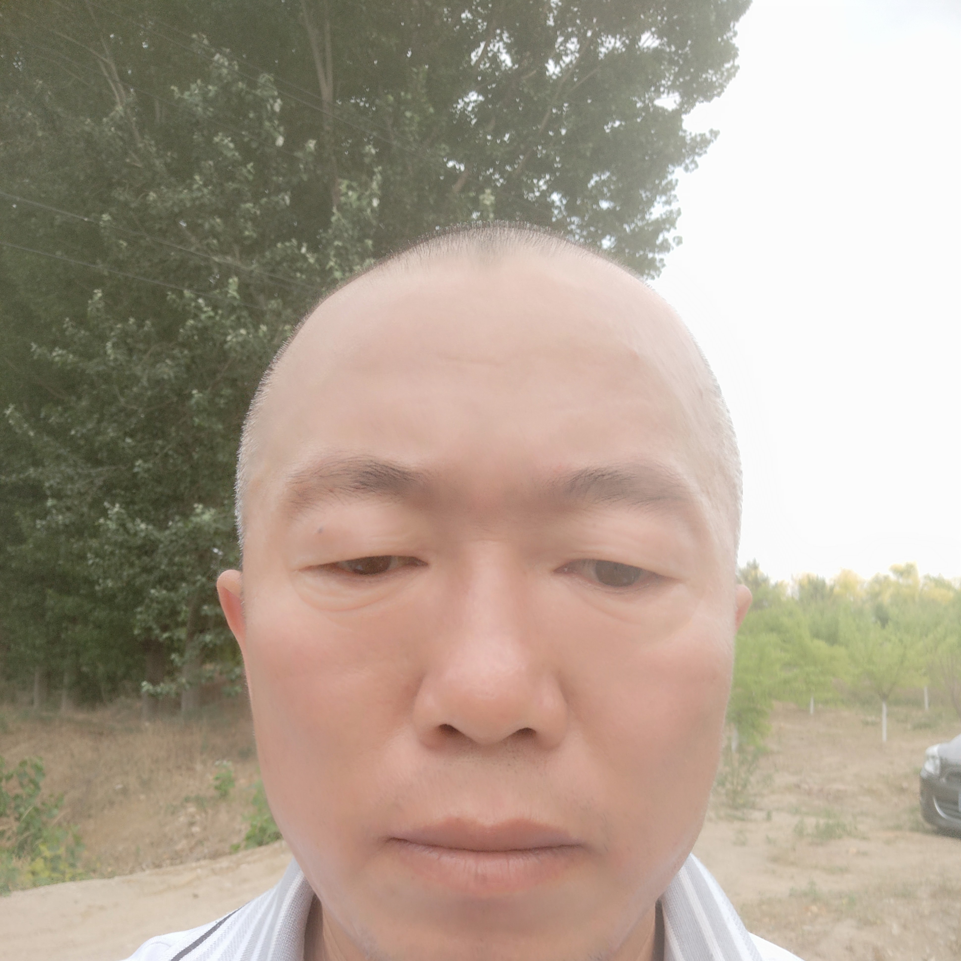 小兔子遇見开放的照片