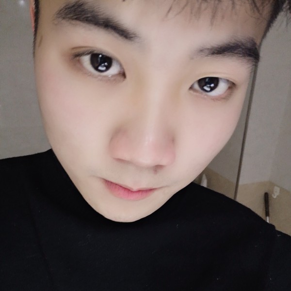 黑猫浅吻饱满的照片