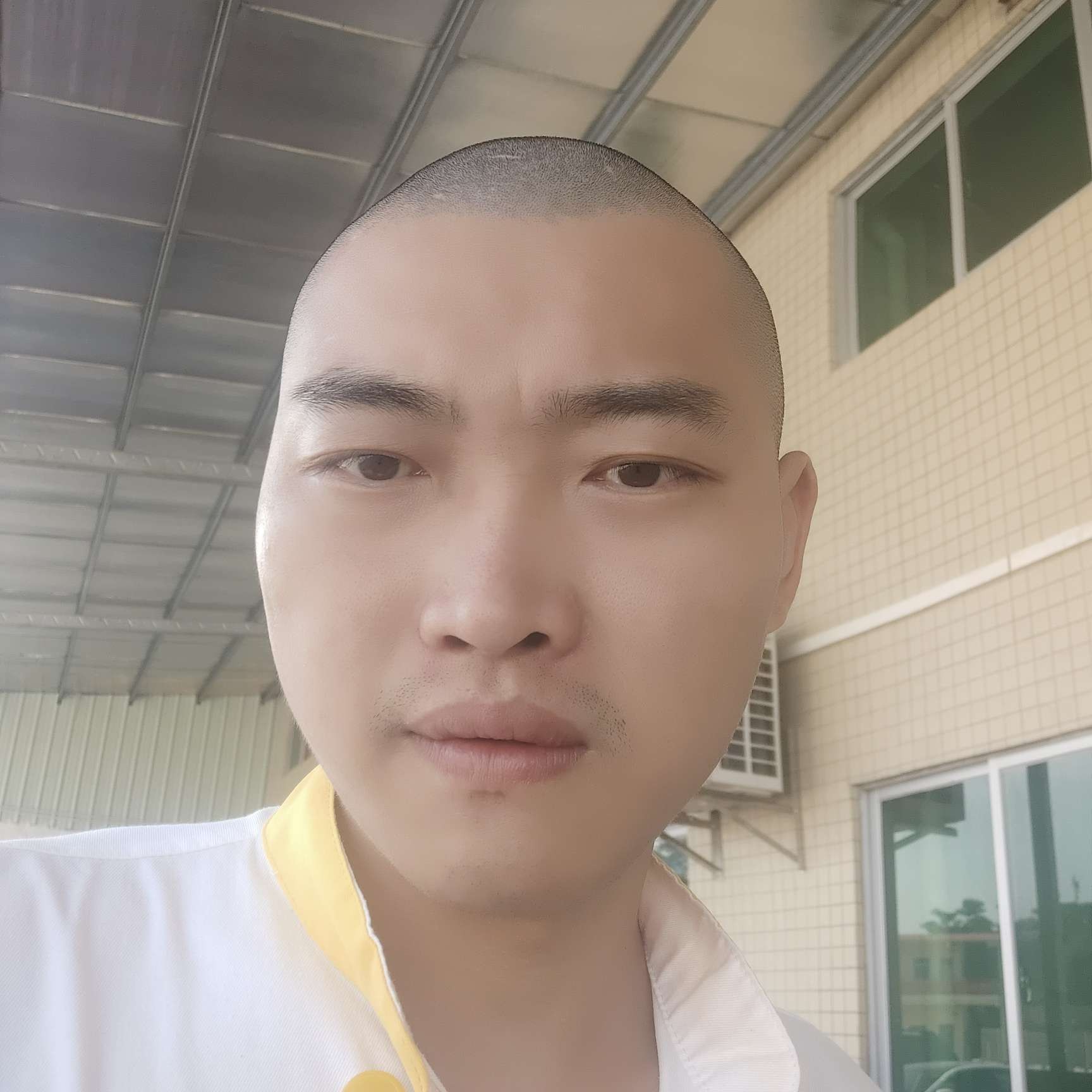 野性说寒风的照片
