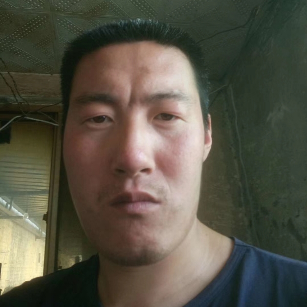 老虎相许灵巧的照片