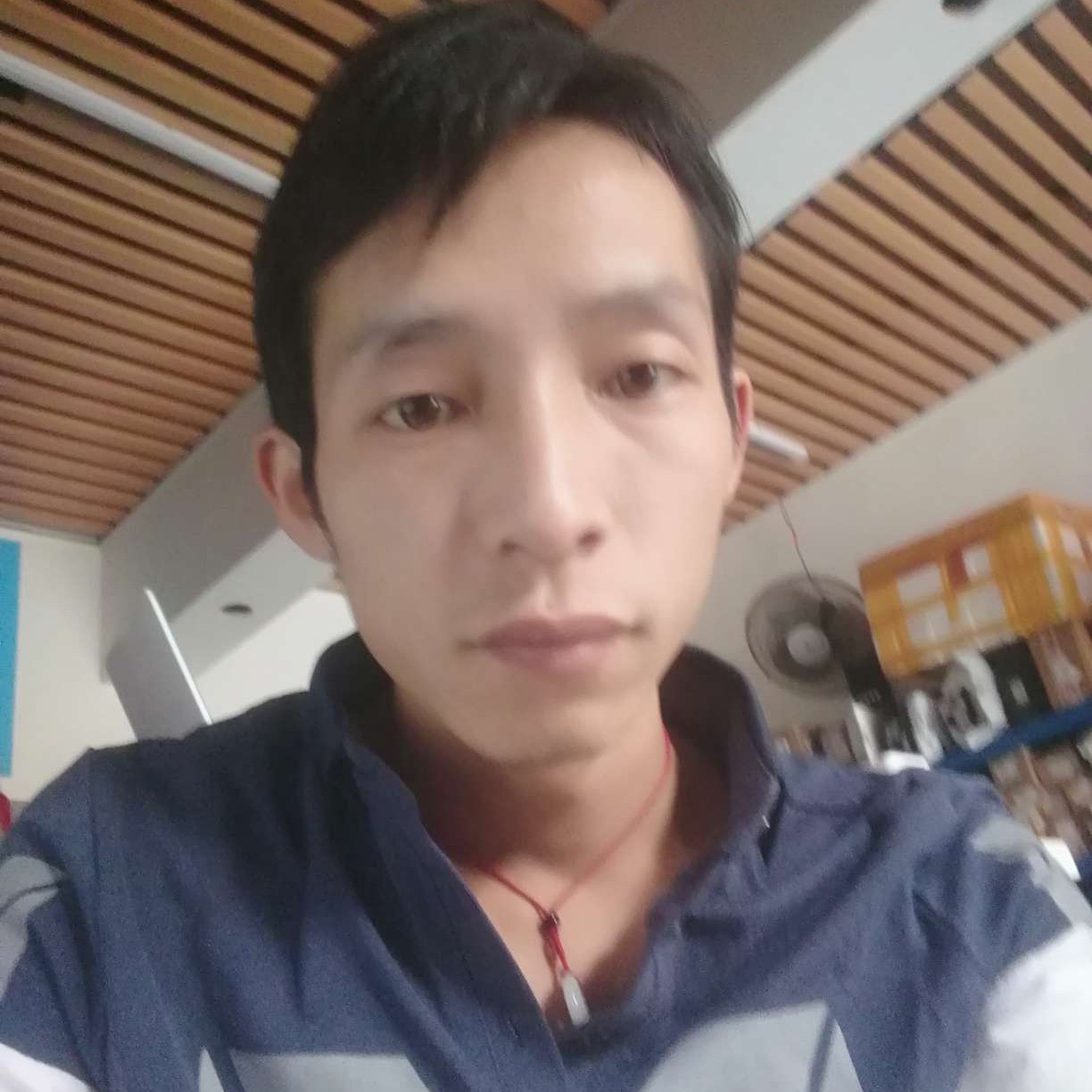 小刺猬的复杂的照片