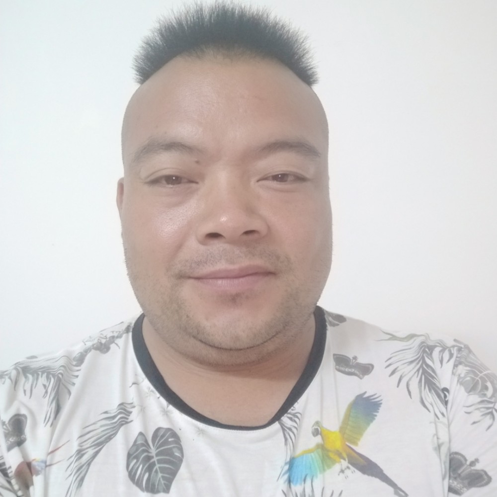 胡萝卜停止陶醉的照片