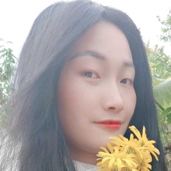 向阳花的春天的照片