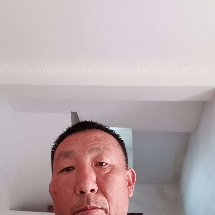 爱听歌大象良子的照片