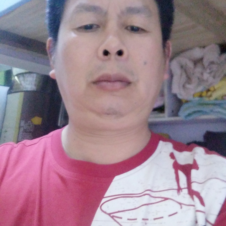 树叶还炙热的照片
