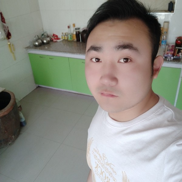 明理仙人掌的照片