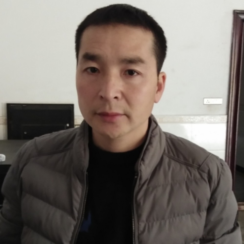 飞鸟凝眸诚心的照片